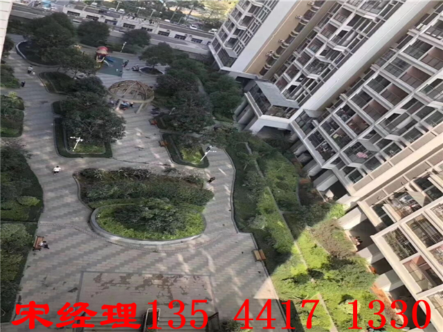 QQ图片20190521013734.jpg