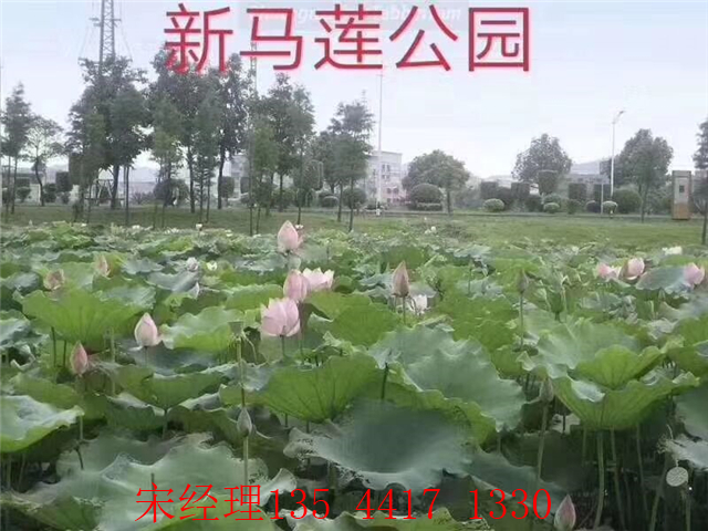 QQ图片20190314134510.jpg