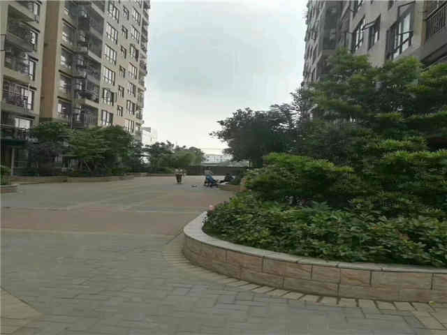 深圳公明村委统建楼罗群花园开发商保留房源出售