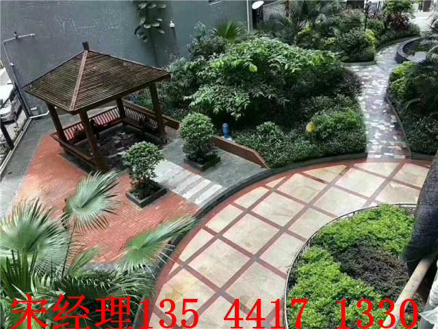 QQ图片20190414001913.jpg