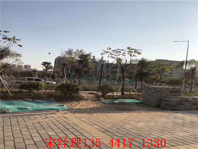 QQ图片20190312020104.jpg
