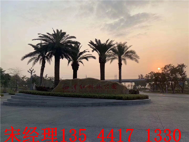 QQ图片20190408011906.jpg