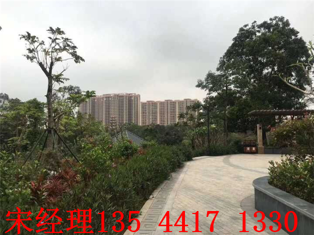 QQ图片20190508200251.jpg