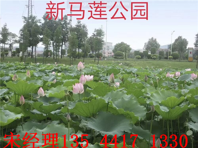 QQ图片20190511151021.jpg