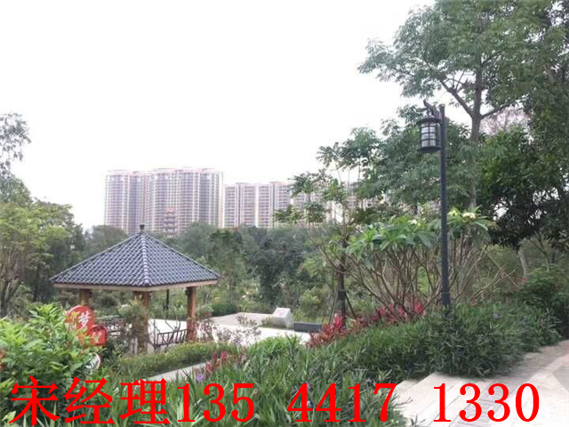 QQ图片20190508200323.jpg