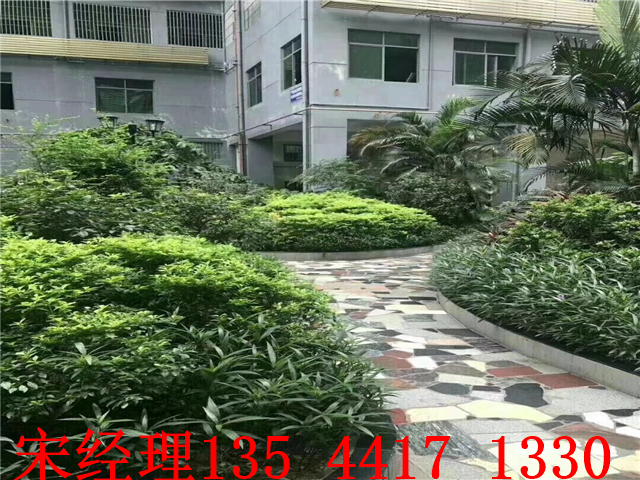 QQ图片20190414001945.jpg