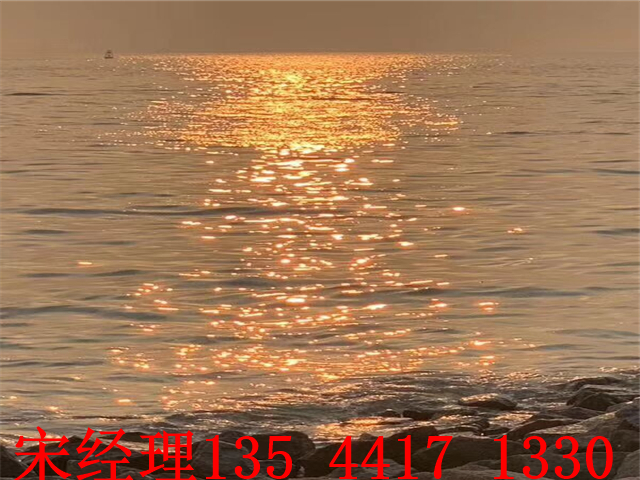 QQ图片20190408011918_副本.jpg
