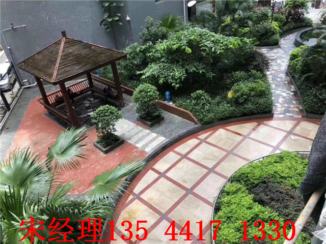 QQ图片20180721092754.jpg