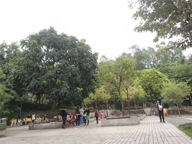 QQ图片20181019173710.jpg
