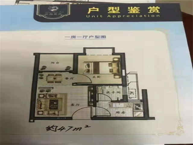 QQ图片20190917143451.jpg