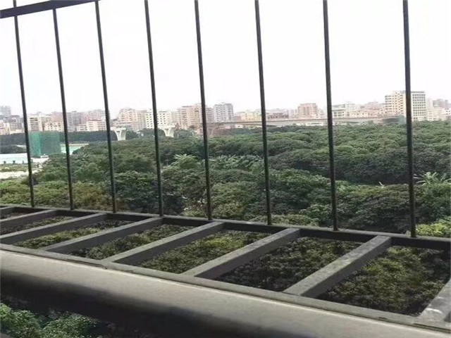 QQ图片20180510234444.jpg