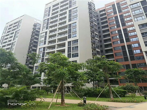 东莞常平最便宜小产权房学府家园2880起价分期6年  已售完 
