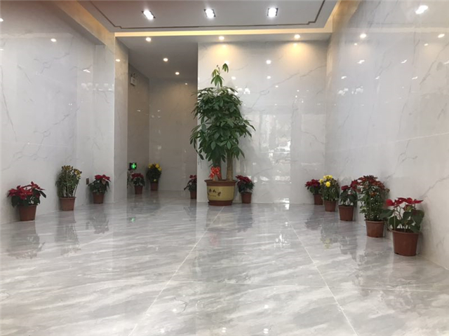 QQ图片20190228175012.jpg